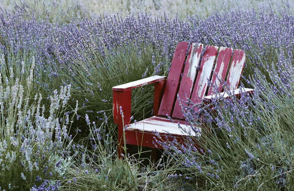 京张高铁抛出“旅游红包” 张家口民宿酒店市场热度应声而涨