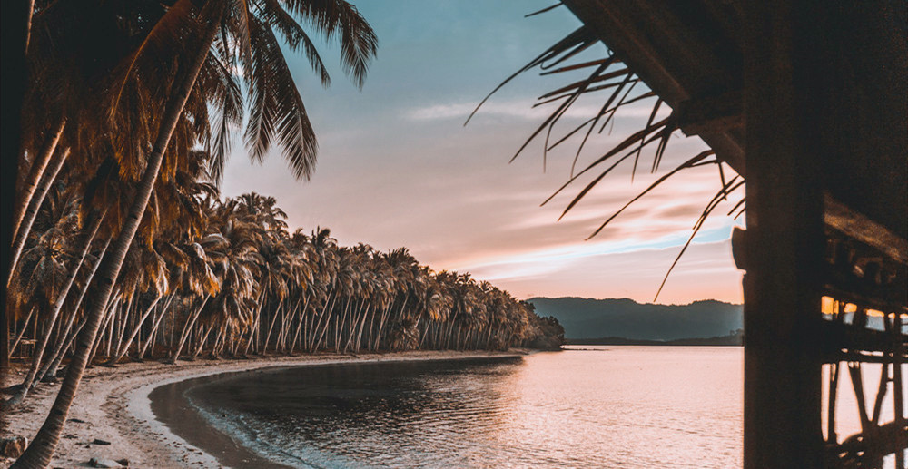 IPO之路上，是谁捅了马蜂窝？