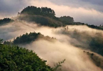 这个周末，你能陪我一起去逛公园吗？