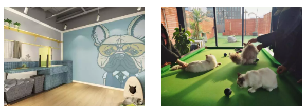 微信截图_20191113091915.png