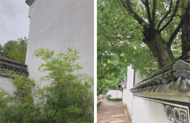 微信截图_20190912095359.png