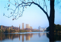 格林豪泰铜陵市枞阳县旗山路人民医院商务酒店，您旅途的舒心之选