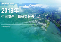 2019年中国特色小镇研究报告