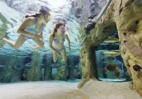 莫干山开元森泊度假乐园于9月19日正式一期开业