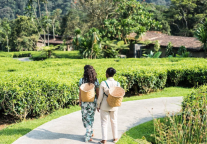 新蜜月旅行时代：新婚夫妇更喜欢冒险而非放松