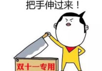 新派公寓：你想要的双十一情报，请查收！