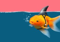 现在停止相信四个有关OTA的神话