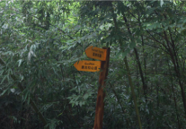 为什么那些“好逛”的酒店更招客人喜欢?