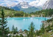 凯撒旅游前三季度营收59.47亿元 并宣布更名