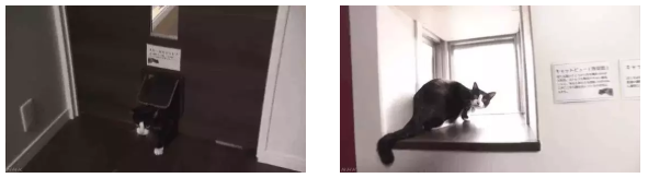 微信截图_20191113091845.png