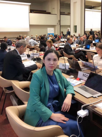 国际信息发展组织出席2019“为联合国发展系统融资”年度报告简会 国际信息发展组织出席2019“为联合国发展系统融资”年度报告简会