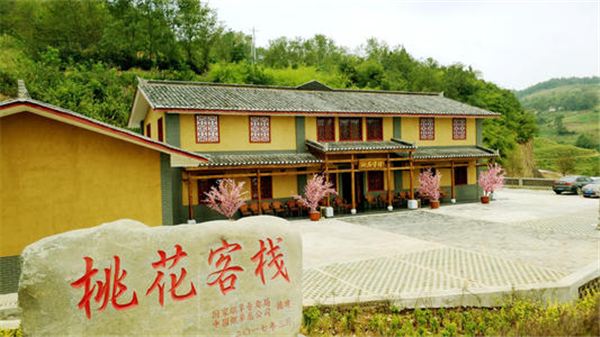 图片3.png