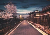 一个百万美元的问题：为何被资本、情怀和风口加持的猪 还是成了火腿肠？