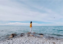 锦江之星：但愿西北的故事，你愿意听、愿意懂