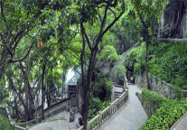 住青皮树福州市仓山区上三路酒店 尽享城市绿洲