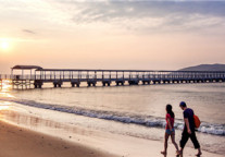 青皮树上海金山区金山国际商贸城卫宏路酒店，给您碧海蓝天的清新体验