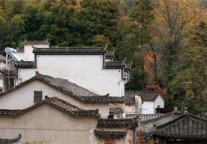 青皮树界首市新客运中心酒店，出行时尚清新之选