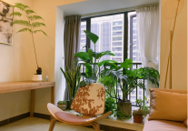 美好生活家 | 人生低潮时，煮美食、养绿植、早点睡