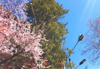 民宿的用户体验设计原则 | 如何用互联网思维打造民宿产品？