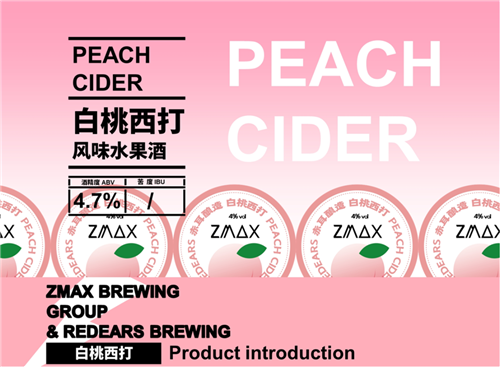13.png