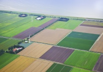 西藏旅游：国风集团拟减持公司不超454万股