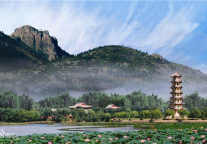 RP不减反增？这家都市花园酒店出租率反超同期