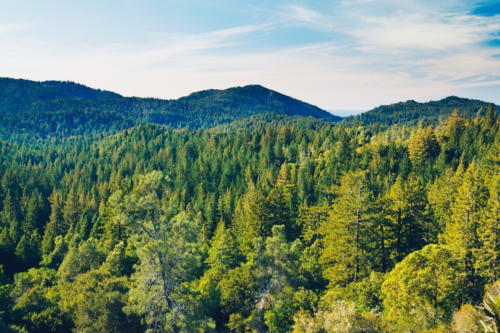 张家界机场疫情后首次单日旅客吞吐量突破9千人次