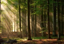 十一长假旅游分析：今年熬 明年活 后年火