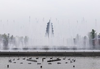 从财报季到“双11”，酒店在焦虑什么？