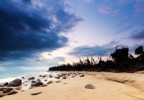 迈点译讯丨WTTC：建议全球主要城市之间建立“空中走廊”，恢复商务旅行