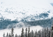 15元烤肠再引“宰客”风波：雪乡要做的不只是洗白