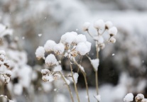 产品不好，你拿什么让别人参与？  ——由《参与感》延伸到旅游发展的一些看法