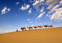 文旅部：截至2021年底，国有旅游景区需全部实现在线预订