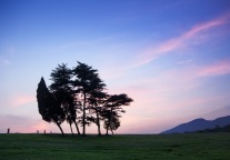 中青旅前三季度亏损1.28亿元