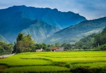 老君山景区回应山顶遍地垃圾：督促商户整改 严重的停业