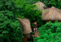 十一黄金周将迎出游高峰 度假酒店成复苏突破口