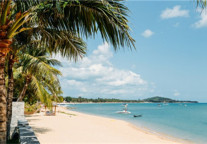 遇上格林新店，认识一座城市