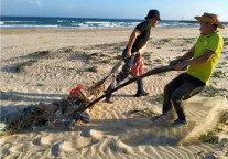 海南香水湾书香海景酒店蓝丝带行动进行时
