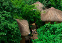 大国风范，君澜风采;大国风度，君澜温度