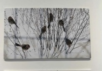 寻礼丨酒店“自由之趣”，藏在山野里…