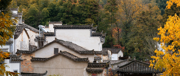 摄图网_501142222_wx_安徽塔川秋色（企业商用）.jpg