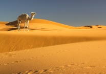 甘肃旅游扶贫：如何实现富了口袋还富脑袋？