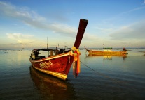 泰国“抢救”入境游，跨境游的曙光？