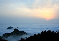 2020上半年 上市景区企业亏了多少？