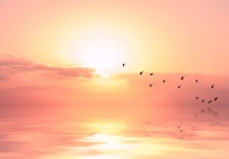 2020年终盘点最终篇｜只等疫情过去：这10大商业新趋势或将燃炸酒店业