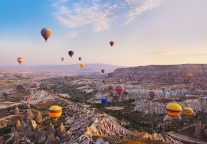 生态环境部回应“敦煌防护林被毁”：将公开调查核实情况