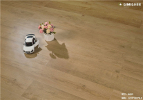 酒店环保行至中场 后半场打造绿色全产业链是重点