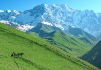 今年两会，这些文旅提案你最看好哪一个？