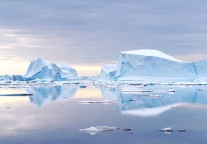 哈尔滨极地公园：全球首个北极熊酒店3月12日营业