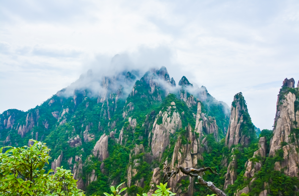 风景图3.png